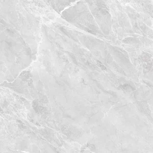 Las Palmas Grey P 100*100