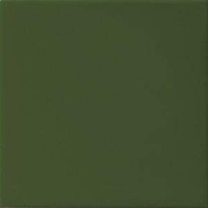 Liso Botella Brillo S 10*10