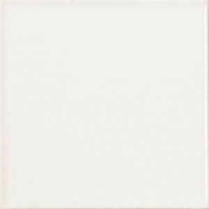 Liso Blanco Matte S 10*10