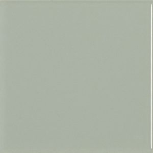 Liso Sage Brillo S 10*10